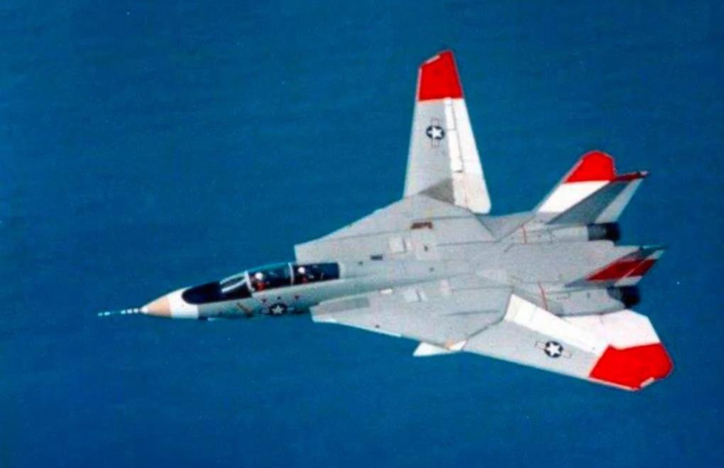 F-14作为美国海军寄予厚望的舰载机，它那能前后活动的翅膀也引起过不少担忧。其中