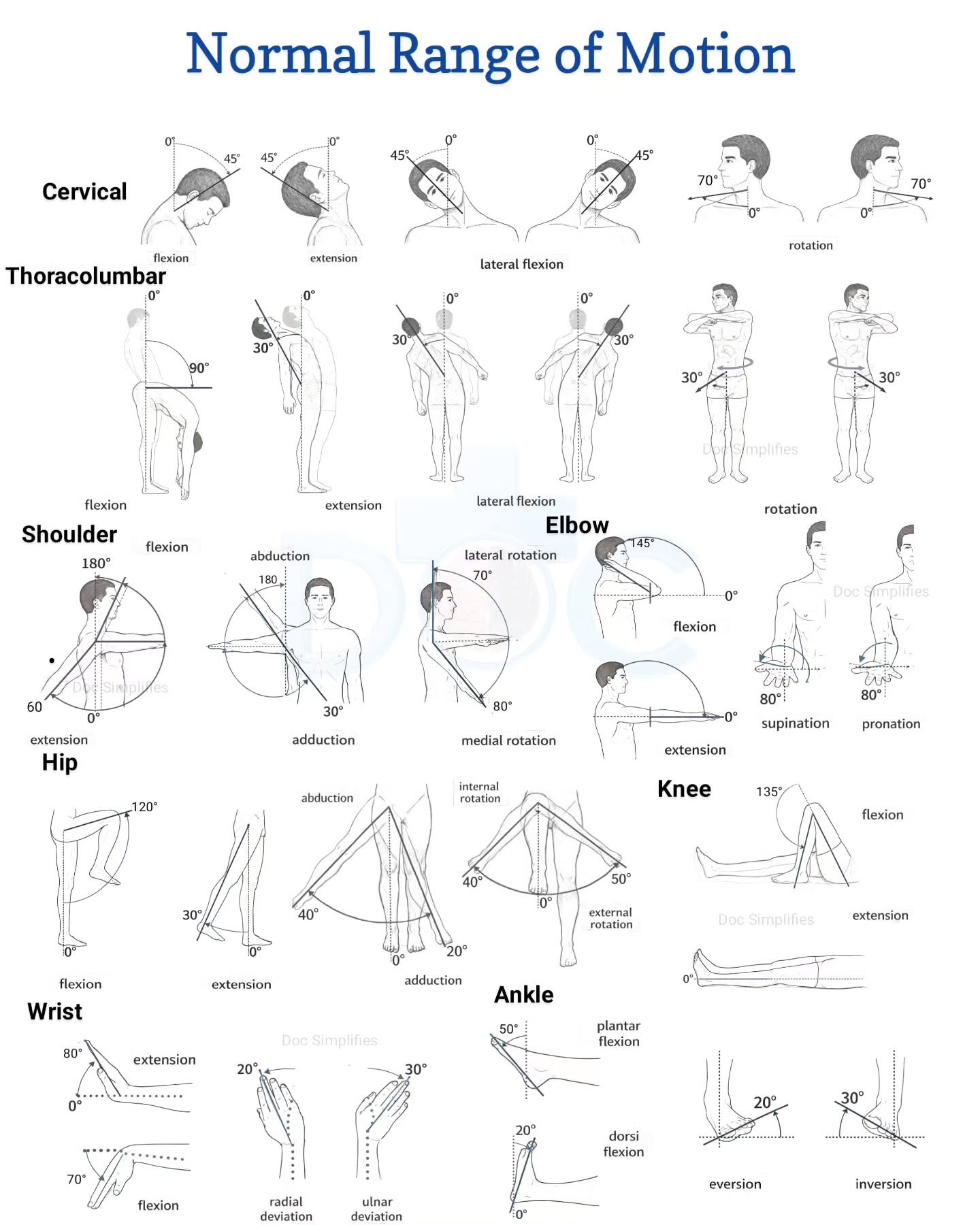 运动康复【关节活动度范围】颈椎，肩膀，腰椎，髋关节，脚踝，很全的一张总结图，大