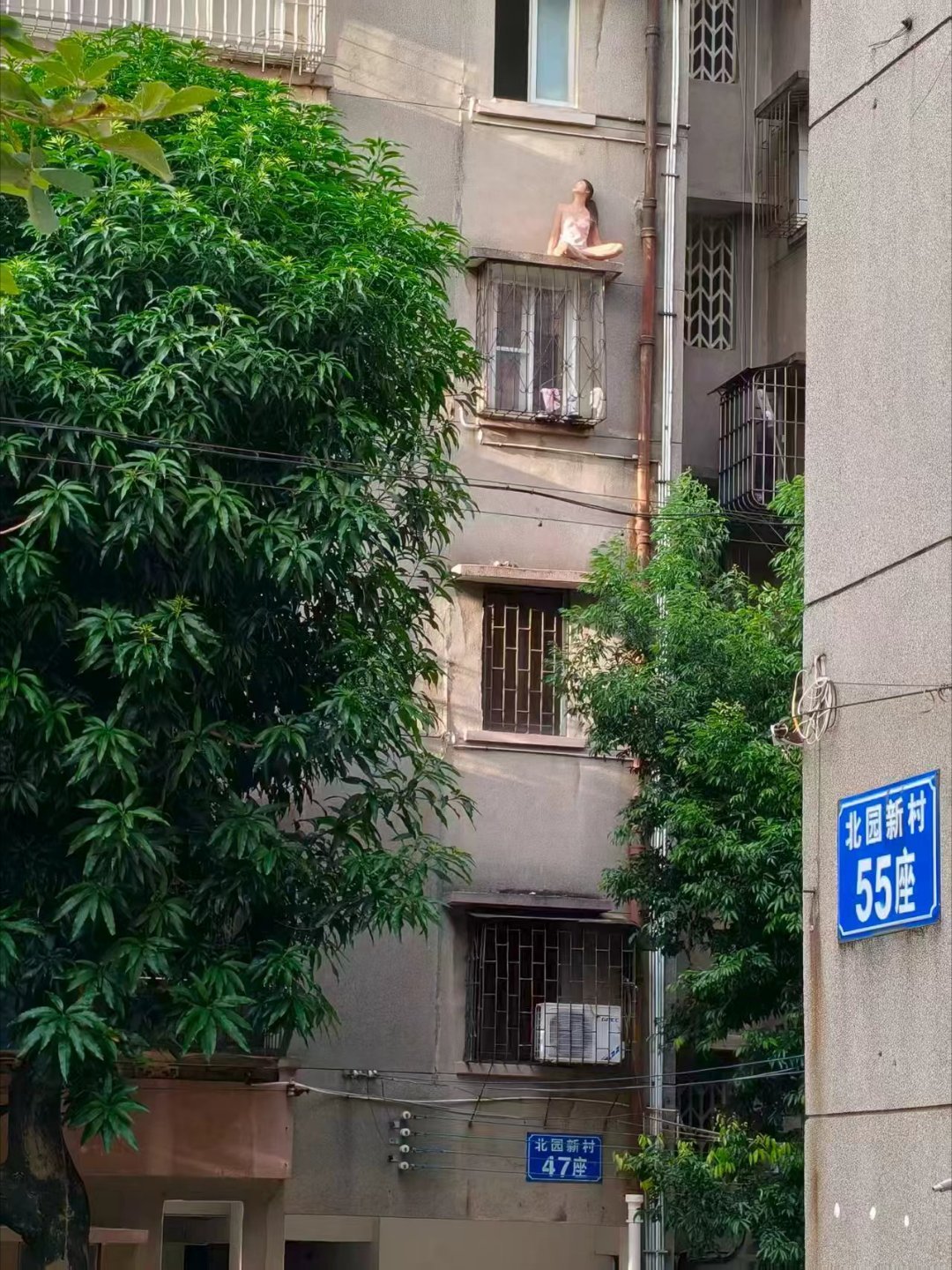 昨日七夕正妻突然返家