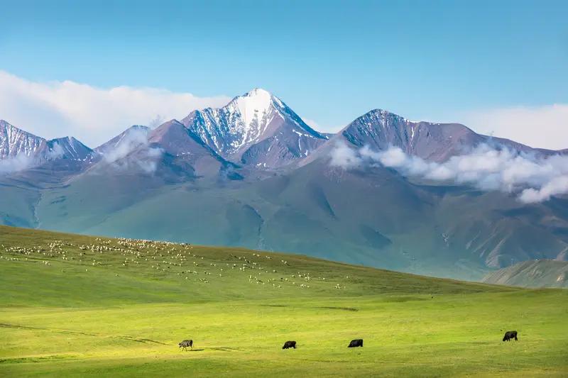 今年出门最难忘的就是去了新疆，这一趟让我见识到相隔20年新疆的巨变。20年前新疆