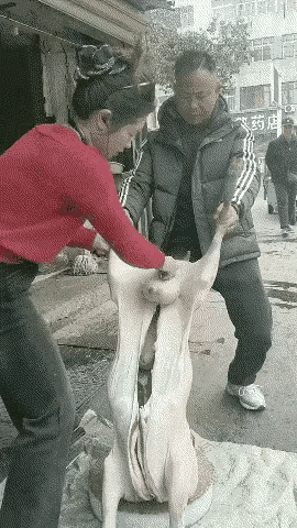 大哥内心慌得一批吧