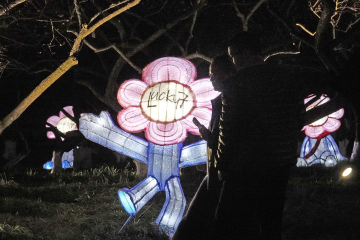 赛博朋克点亮“十里梅花香雪海” ! 超山赏梅今起首开夜游专场