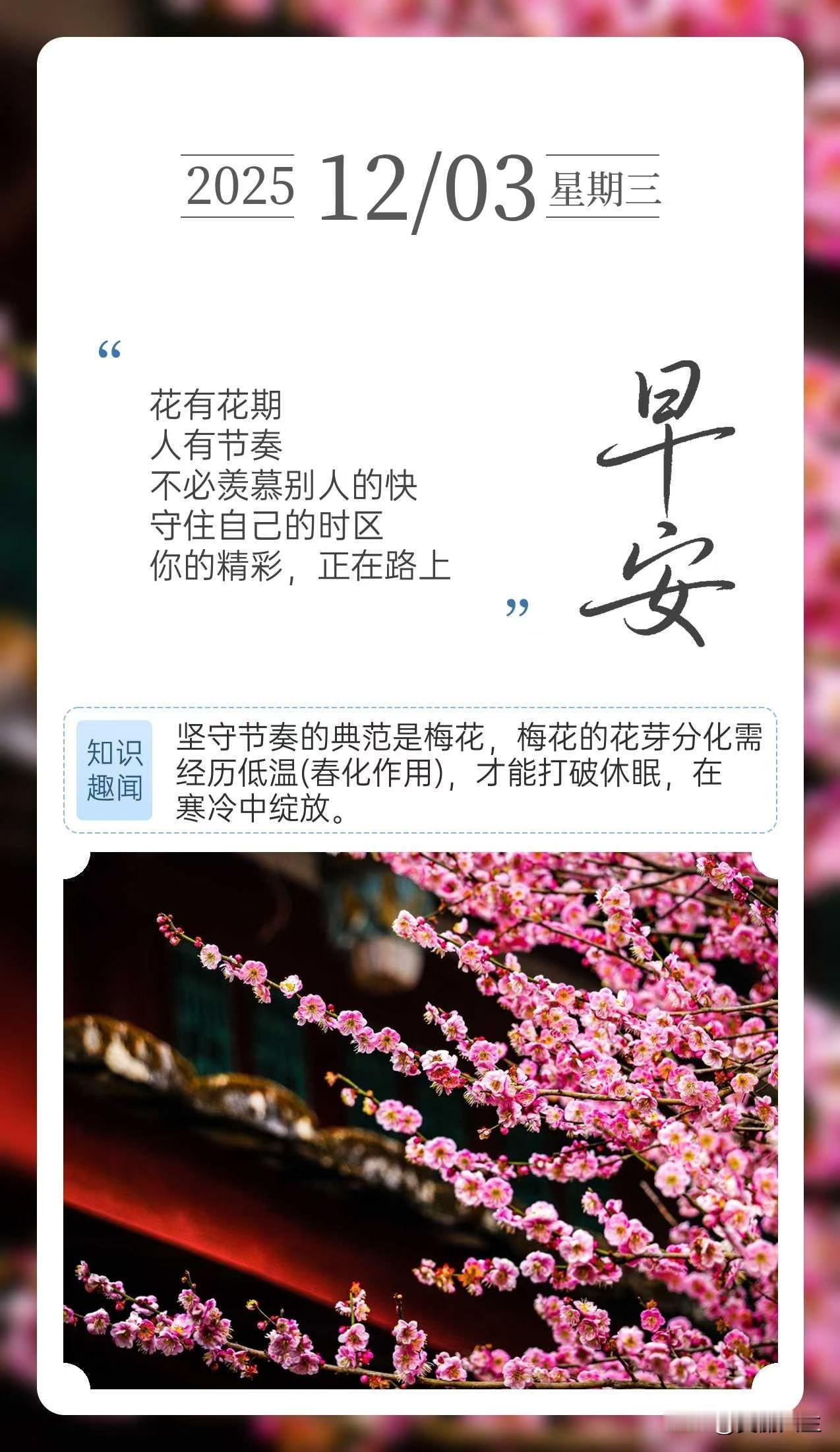 花有花期人有节奏不必羡慕别人的快守住自己的时区你的精彩，正在路上🌞