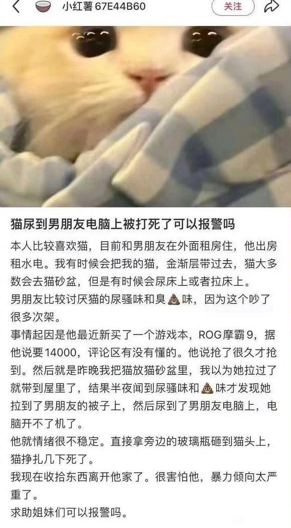 猫尿到男朋友电脑上被打死了能报警吗？