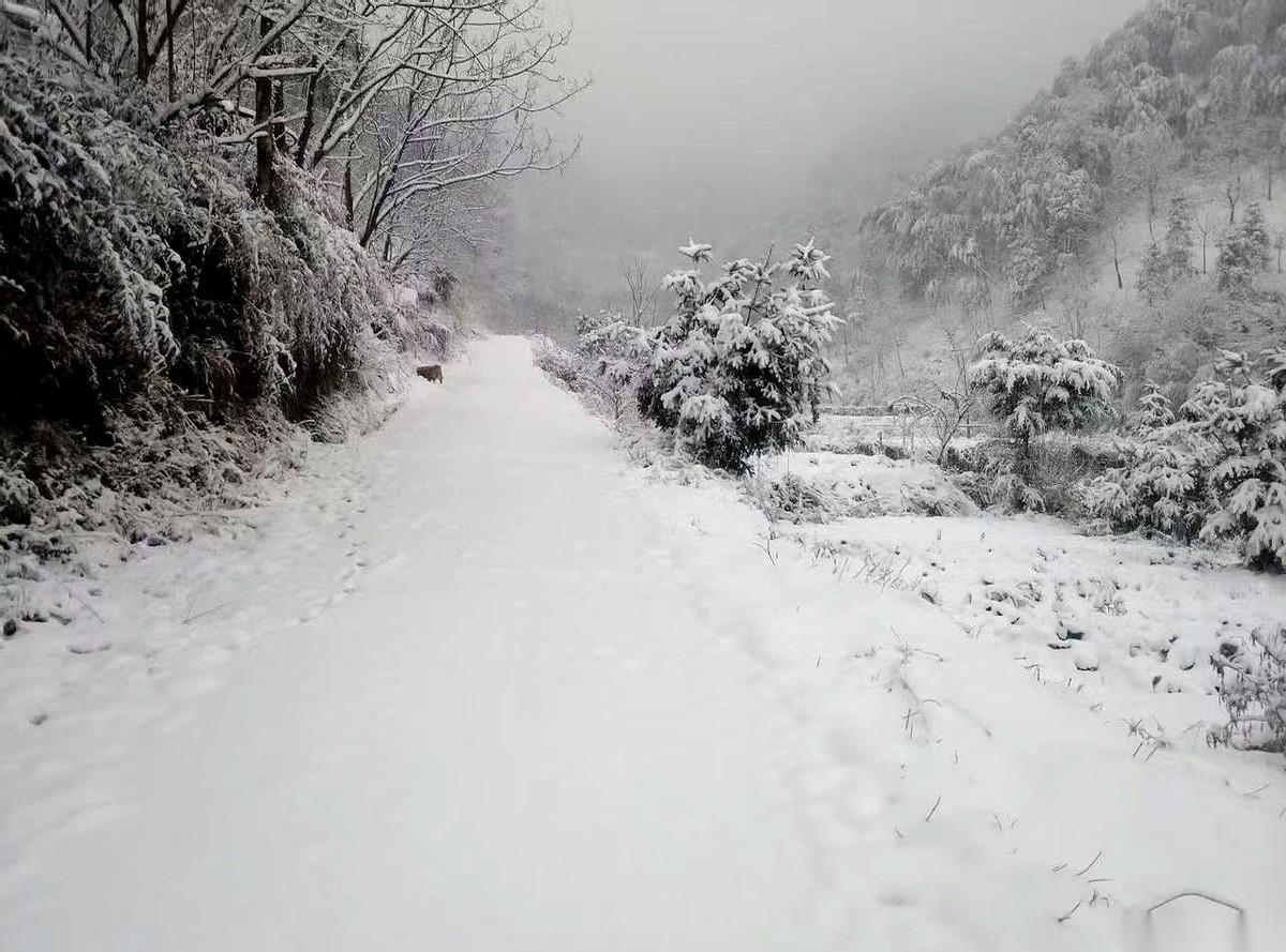 公司团建泡温泉，人没了。就三分钟。前一秒还跟同事有说有笑，下一秒人就倒池子里了