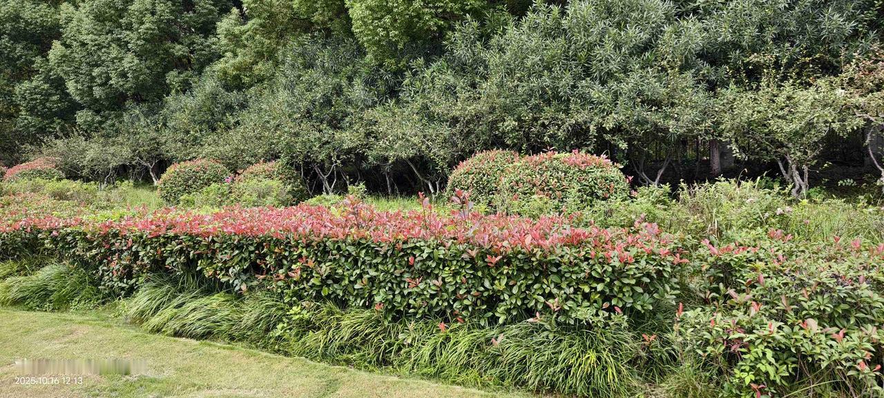 我的今日状态：🏝️旅行度假我这里的天气：🌤️多云