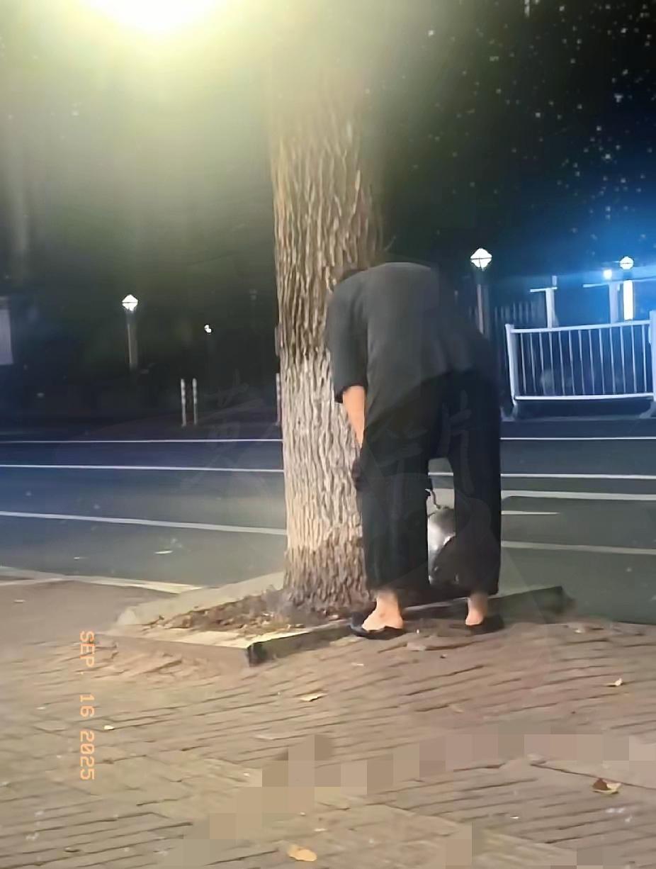 开水浇树两周不停！树没冒烟，邻居先炸锅了——沈阳这大妈为了让树不挡门灯，天天用1