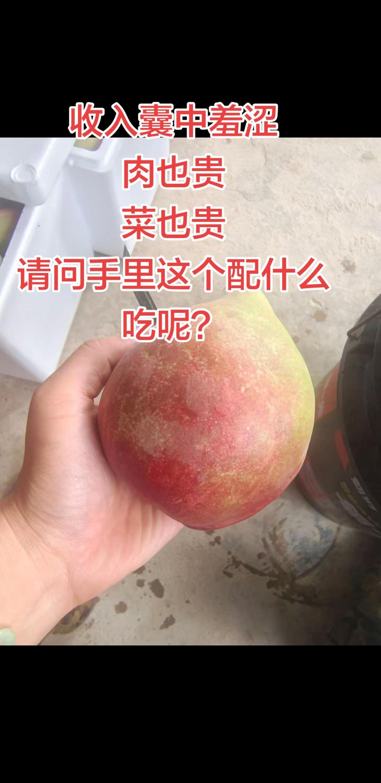 爱吃桃的看过来