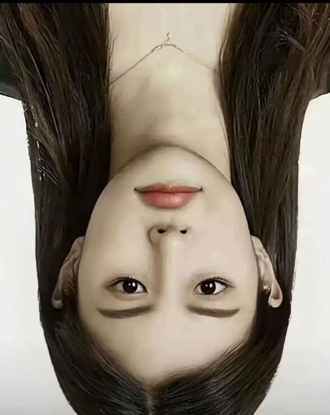 这个图片你看上去是美女，如果你打开图片反转手机会把你吓一跳，只能说这个作者太厉害