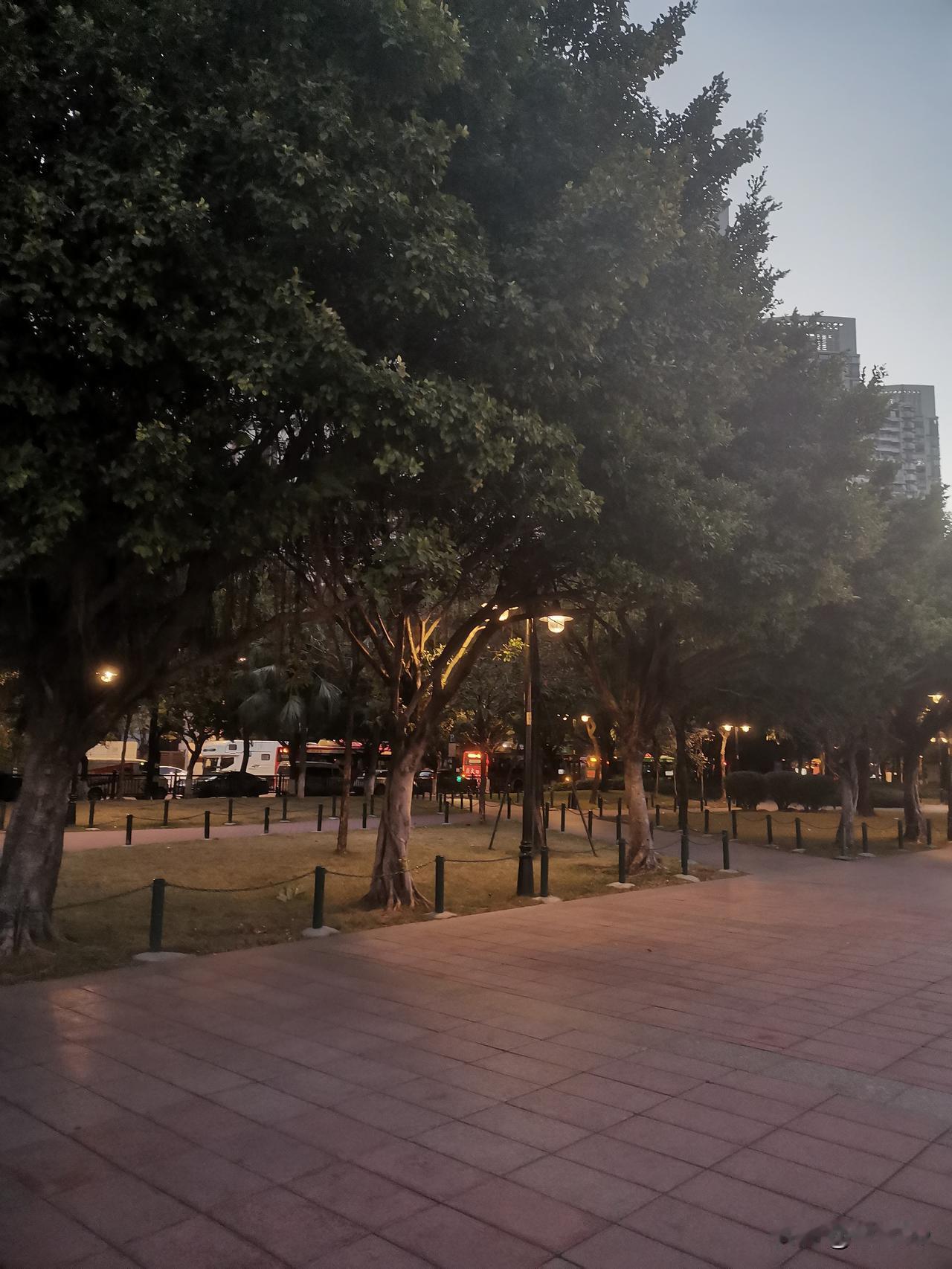 没想到，一个出生在皖中农村的60后，快63岁了，早上能站在广州志愿者公园江边喝茶