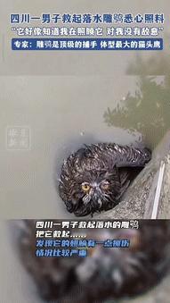 “万物皆有灵！”9月18日，四川一男子在河边行走时，看到水池里来了个庞然大物，男
