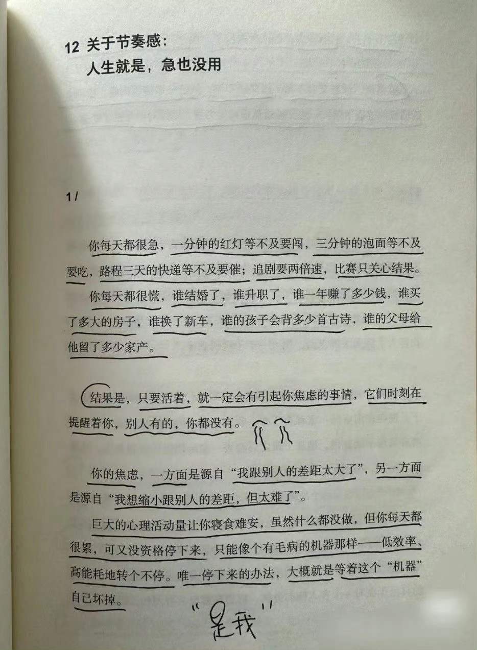 其实人生就是急也没用……现实生活里，你起早贪黑努力奔波着，结果是，卷又卷不赢，躺