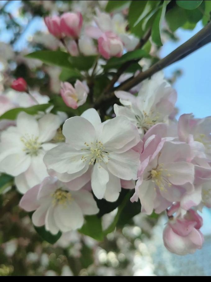 媒人给研究生毕业的女孩介绍对象，男孩高企上班，独生子，父母都是体制内退休，老两口
