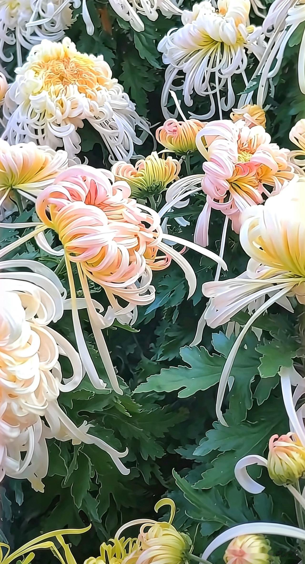 非常喜欢的一段话：“数学里有个美好的词，叫求和；有个遗憾的词，叫无解；还有个很
