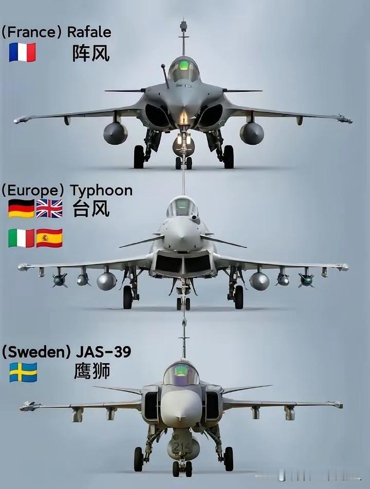 欧洲三种自主研制的战斗机，法国的阵风战机，德国＋英国＋意大利＋西班牙的台风战机，