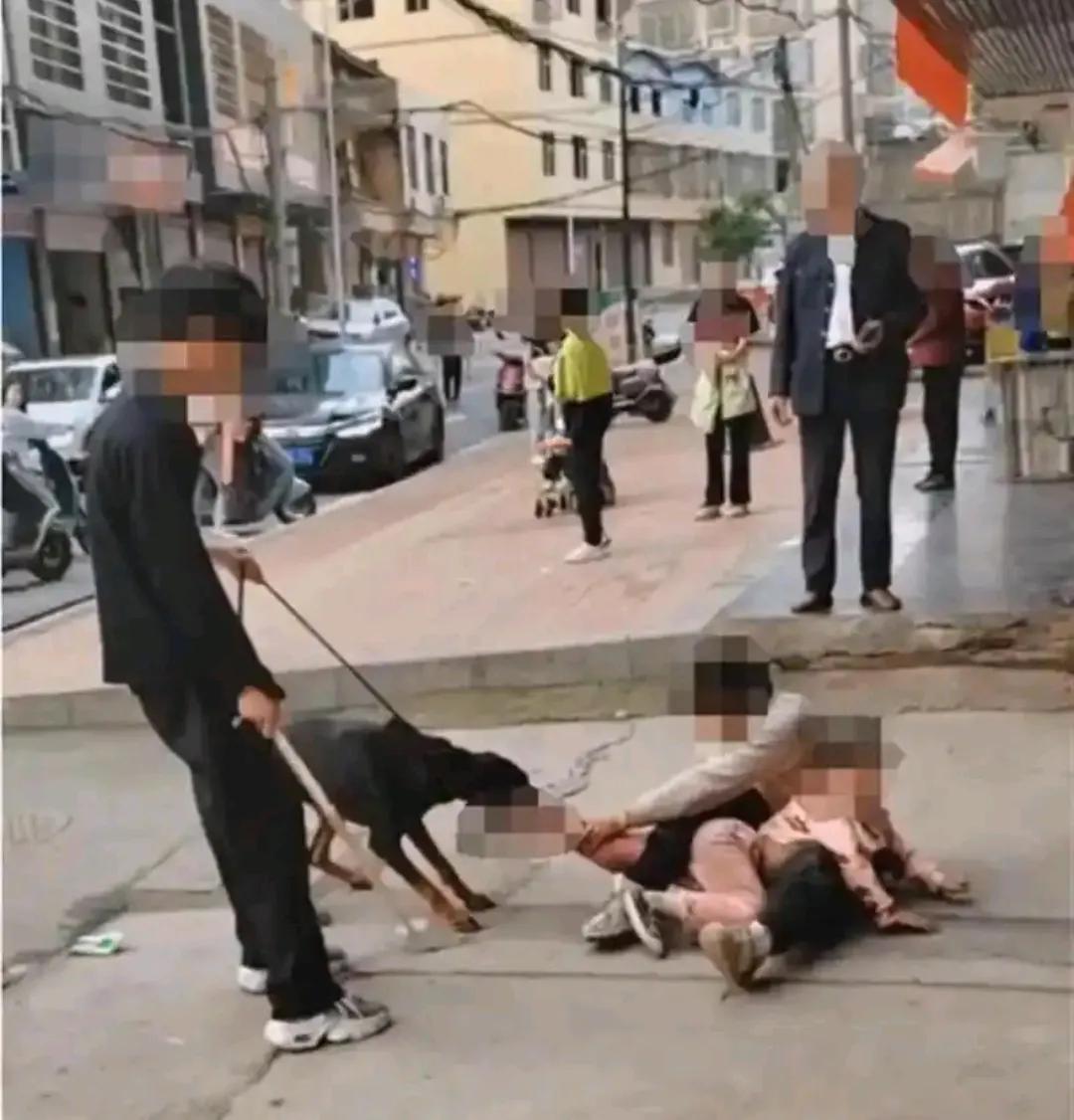 新规定就是好，这下狗主人再也不敢牛逼了吧？襄阳今年以来拘了3个狗主人。一个是农