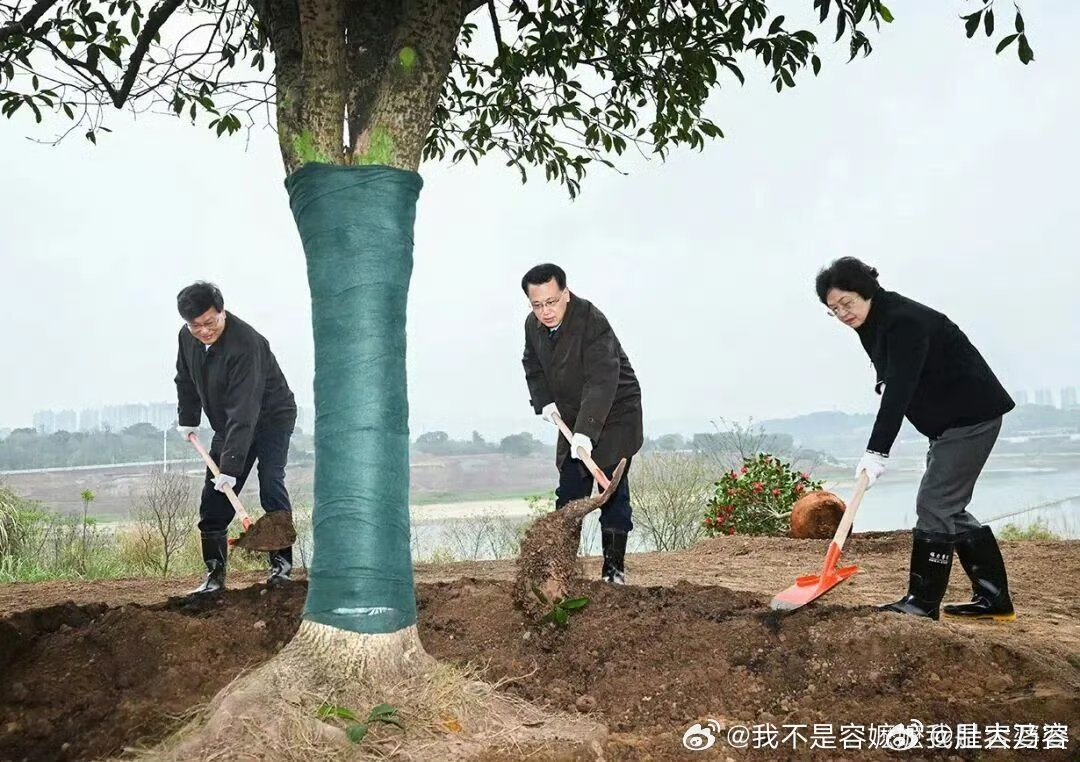 重庆市长胡衡华被查四缺一，有网友发过来的图片。