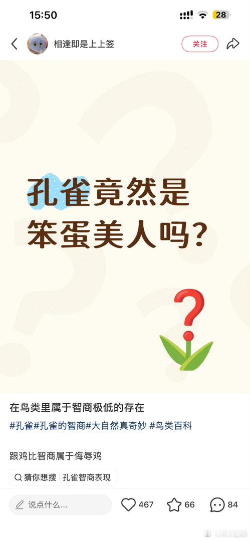 笨蛋美人