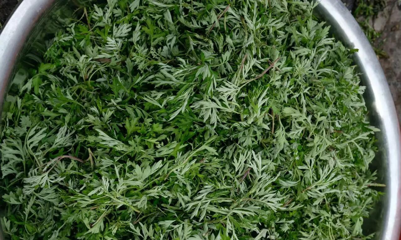 今年全国各地的蒜薹卖不起价，蒜农都亏惨了。于是有人说，这都是二道贩子搞的，菜农的