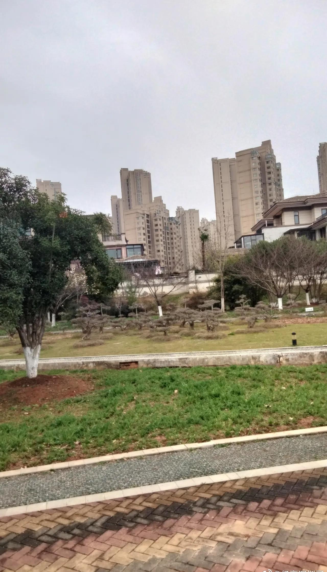 今年春节回老家过年：一个亲戚赚了100多万；一个亲戚全款在武汉买了一套房。你