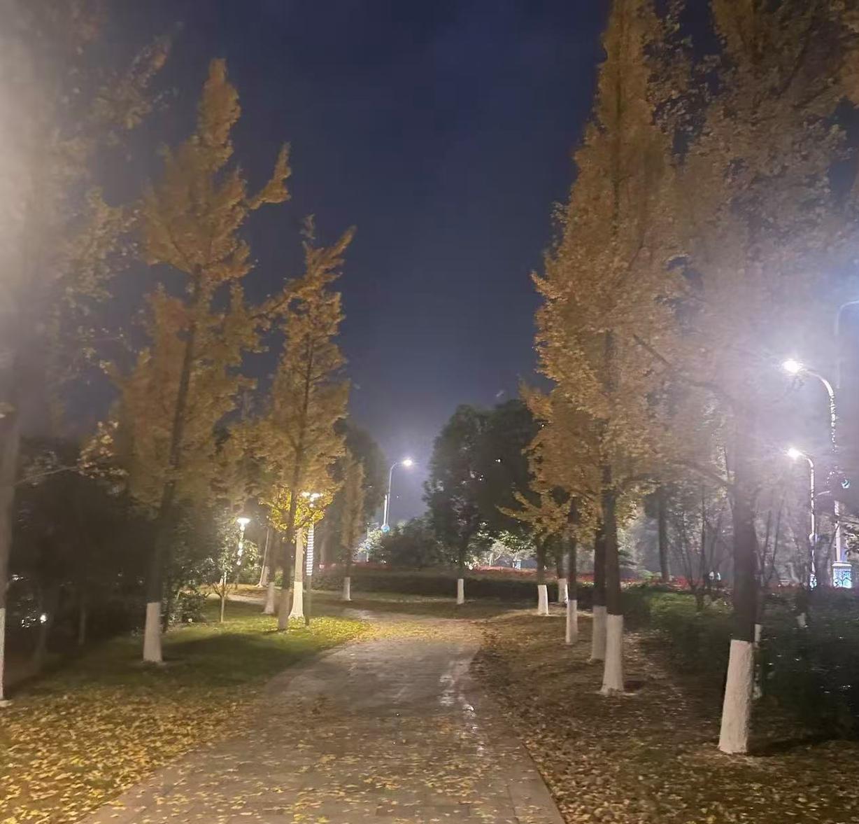 昨天晚上，几年不联系一次的亲戚，发微信要借5000块钱，我没有借，装作没看见，他