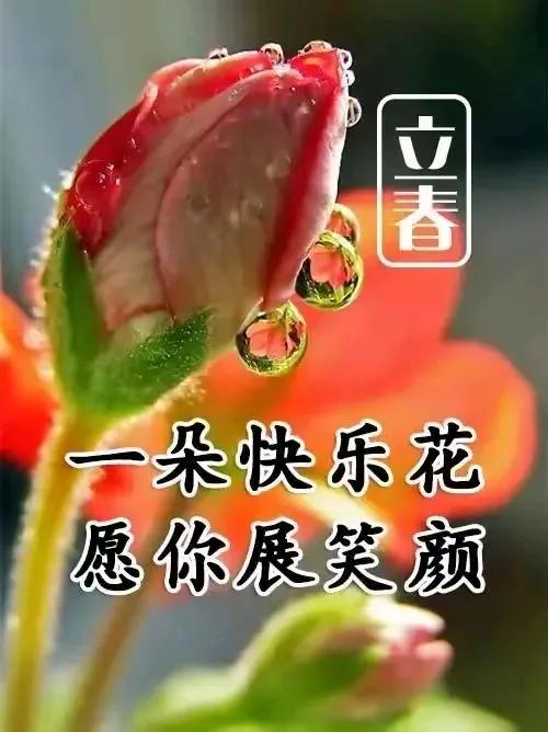 《春启新程，福满人间》立春已至，愿你带着冬日的沉淀，奔赴春天的希望，只等春