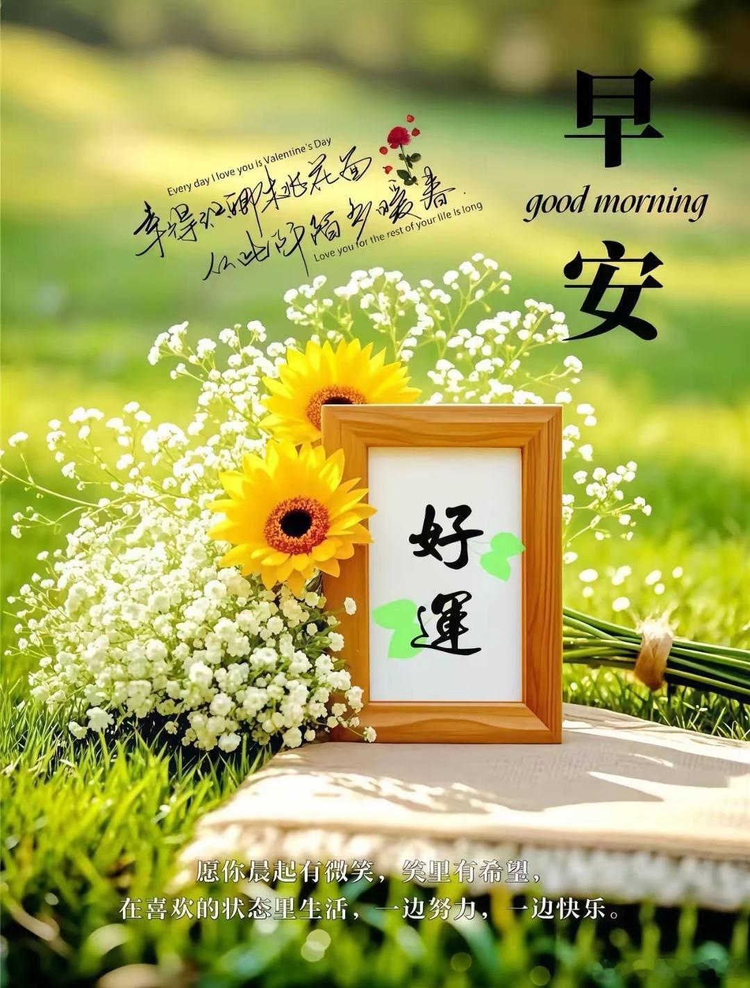 早上好[666][玫瑰]​​​