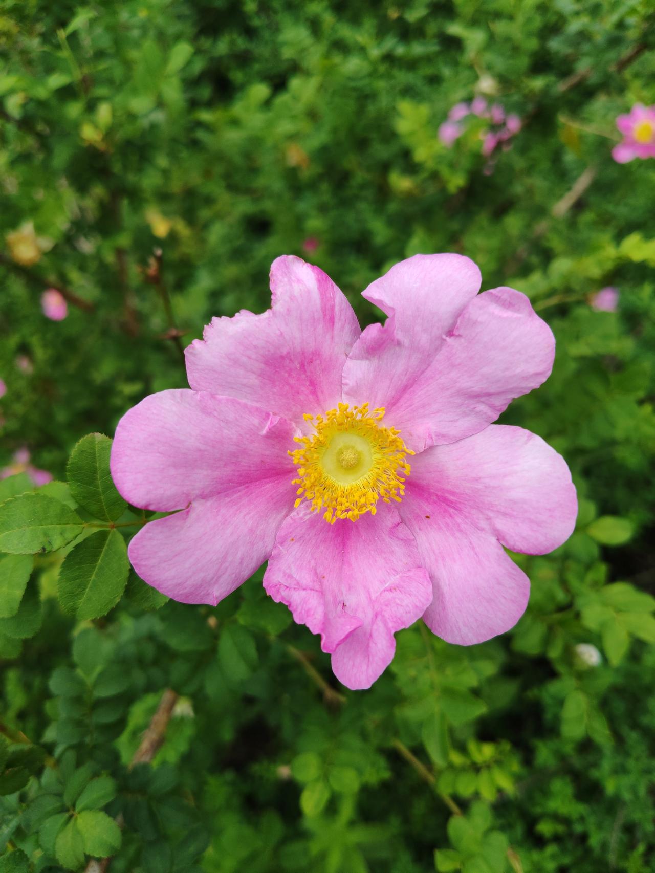 为什么建议大家不要买基金！看看基金集中发售期就知道，一般到了牛市末期，就会出现