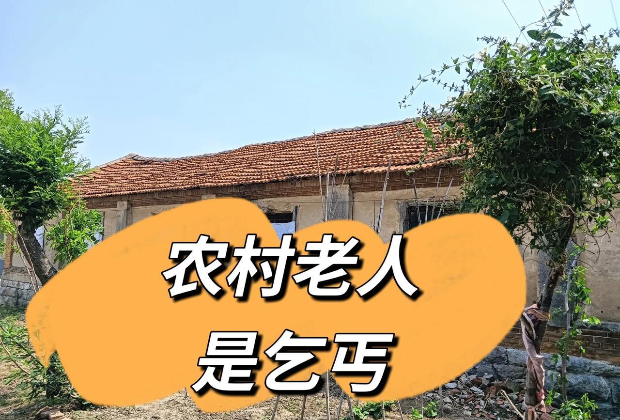 在农村大多数的老人都没有投社保，他们现在已经七八十岁，甚至八九十岁，每个月的养老