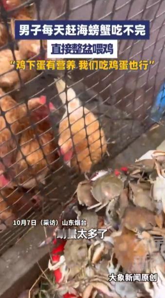 “人怎么能这么聪明！”10月7日，山东烟台，一男子每天赶海螃蟹吃不完，直接将整盆