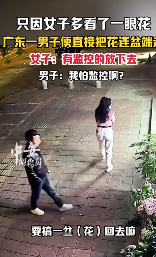 “活不起了！”11月27日，广东惠州，一对男女路过店铺时，因为女子夸了一盆花好看