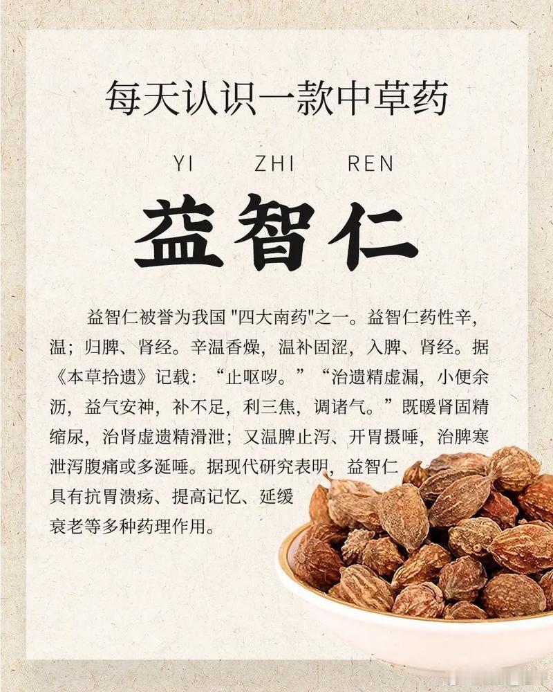 嘴流口水是脾，夜尿多，是肾气不固，益智仁炒一下是温脾肾散湿寒之气。益智仁配远志