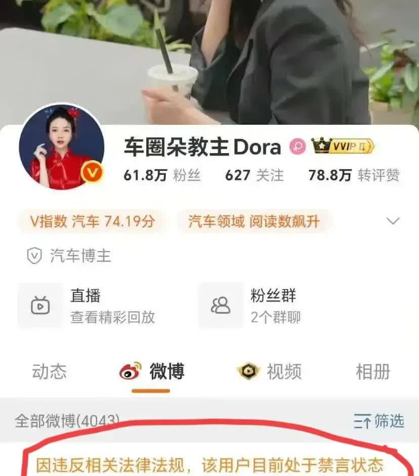 大快人心，极端花黑堕教主被岚图踢出直播活动。近日，臭名昭著的车评人堕教主被岚