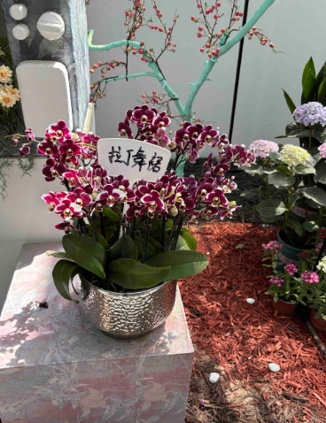火之乔发布了一个电话录音，是当年老杜和许敏的一通电话，电话中老杜说姚策治病你们花