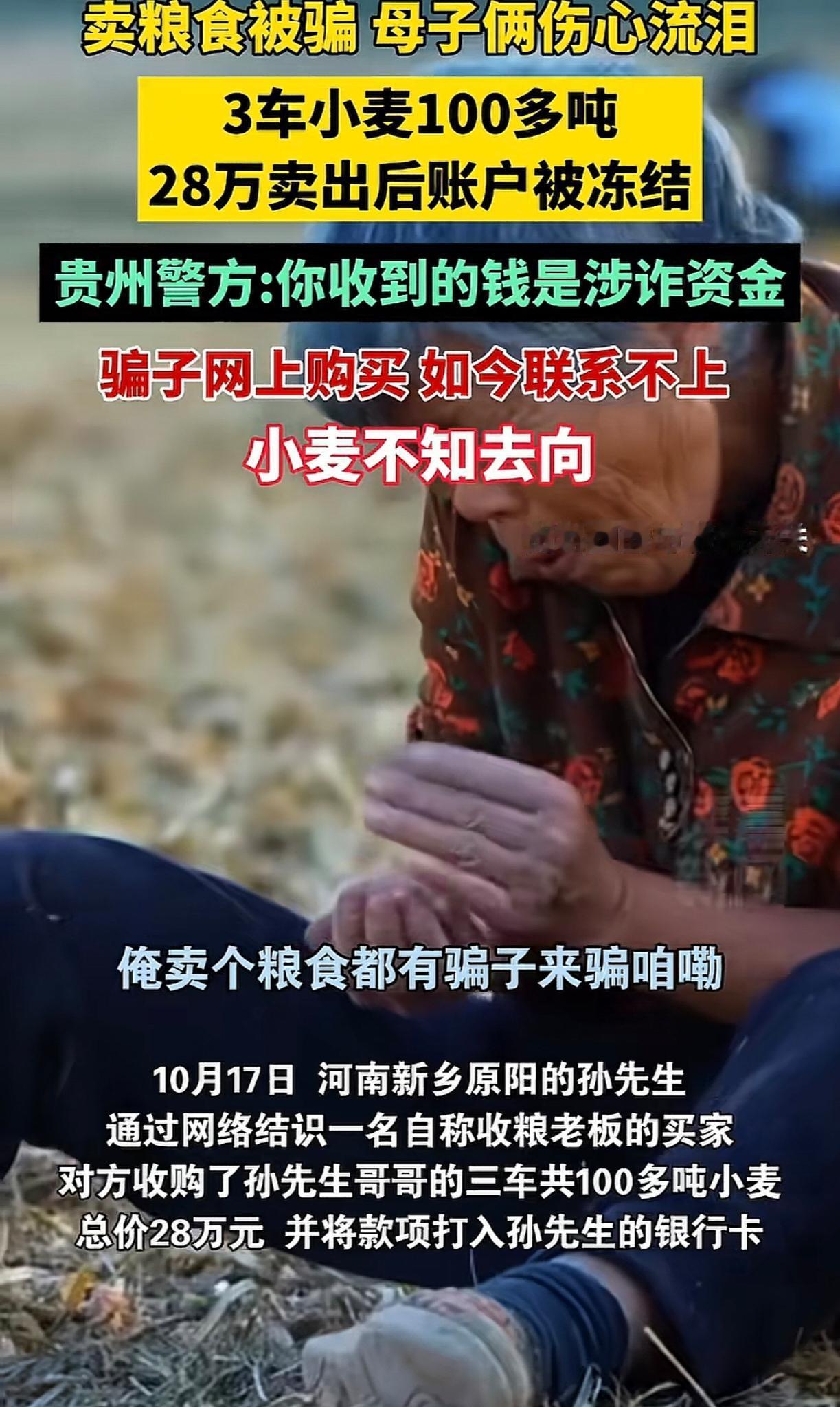 真是天杀的骗子,该死啊,连农民都骗。河南新乡一母子俩以种粮为生,结识了一收粮老板