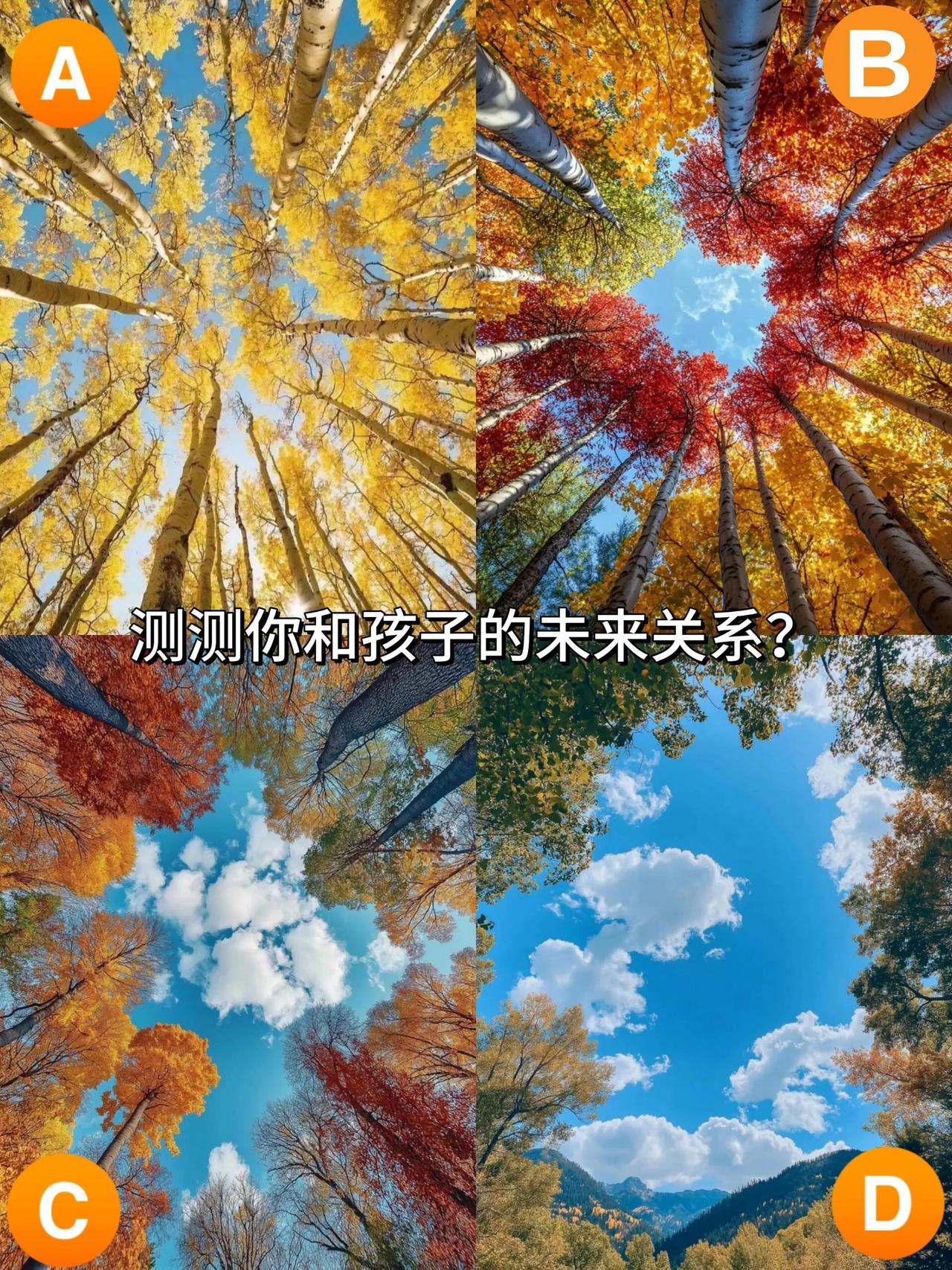 心理测试：测测你和孩子未来的关系？。？下面四幅图的景色，你会选择哪一幅图的呢