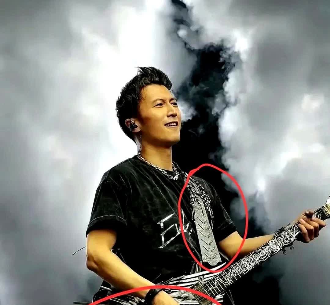 我的天啊，真是贫穷限制了我的想象力！我以为谢霆锋演唱会抱着的那个