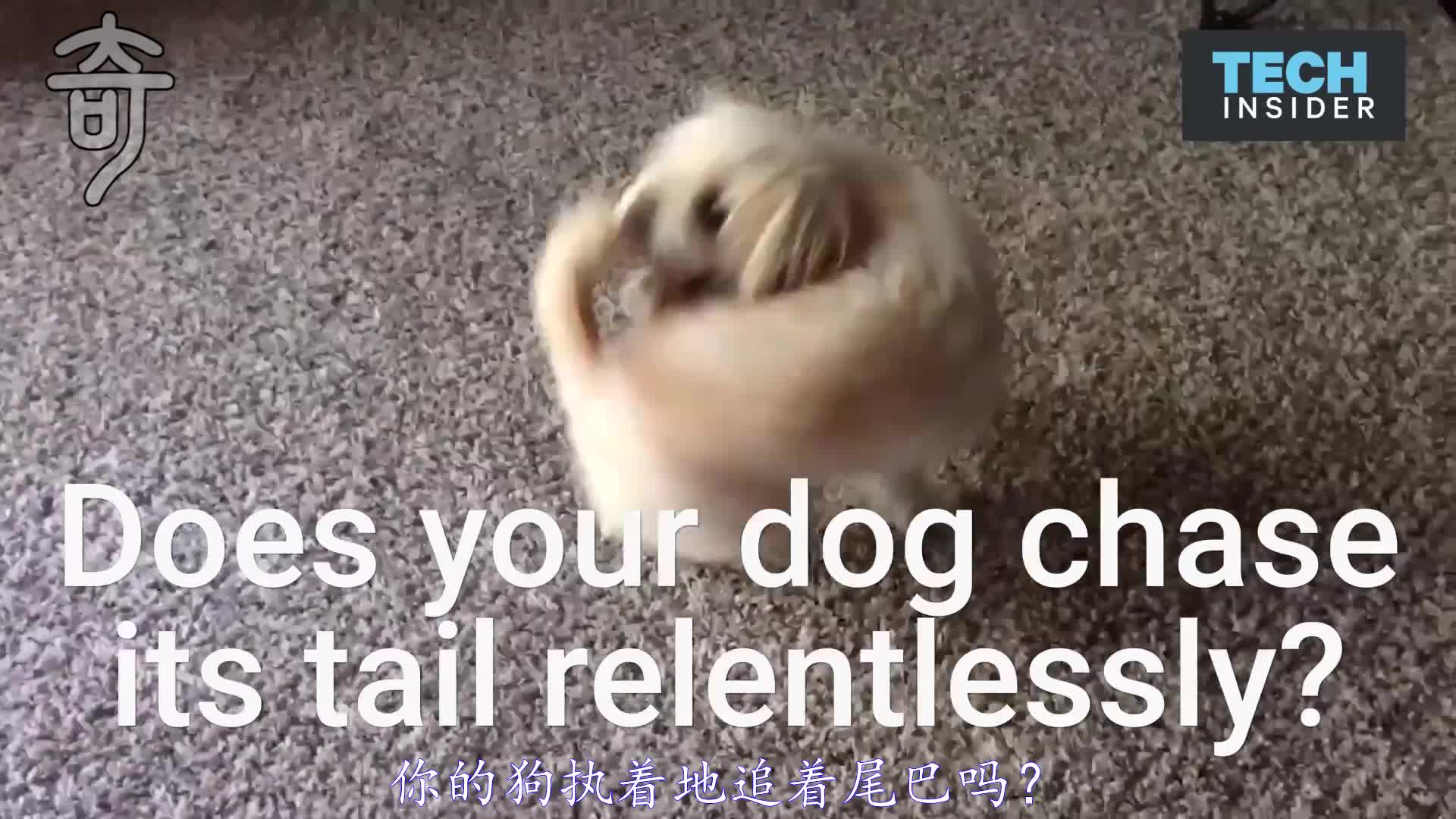 12192605493731977762.jpg?id=0