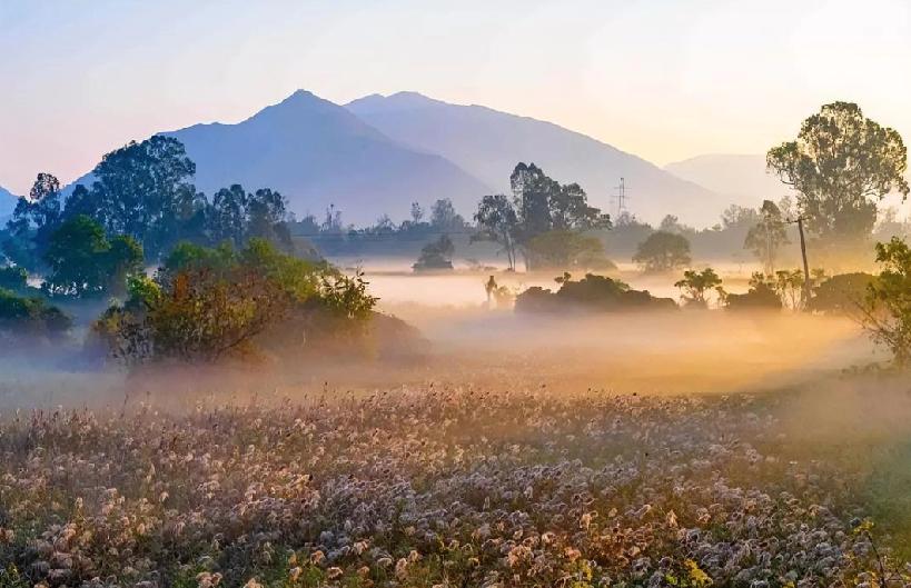 今年冬天的不同最大的不同，就是气候变暖了，，