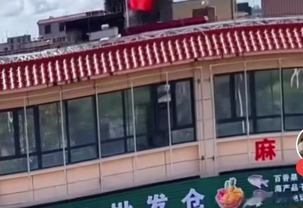 据说，这是全红婵爸爸在家乡开的商店，门前是广场，特意种上一棵凤凰树，比老家门前的