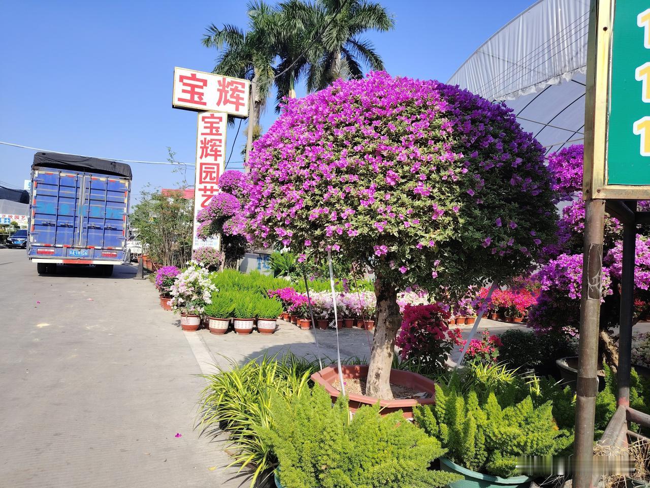 有没发现，现在很多人都把日子过反了明明是自己最亲的人，却把最恶的语言留给了