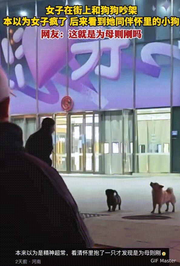 笑不活了！湖南，一女子在大街上和两只流浪狗在吵架，远远看上去吵的特别的激烈。一开