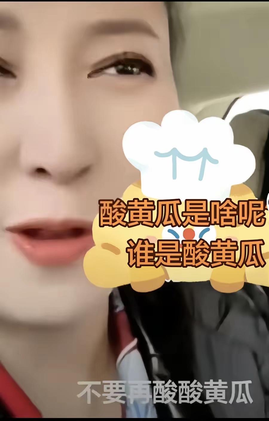 “酸黄瓜”到底酸不酸不得而知，闫学晶凭借东北二人转声名鹊起，说话却带上了北京味儿