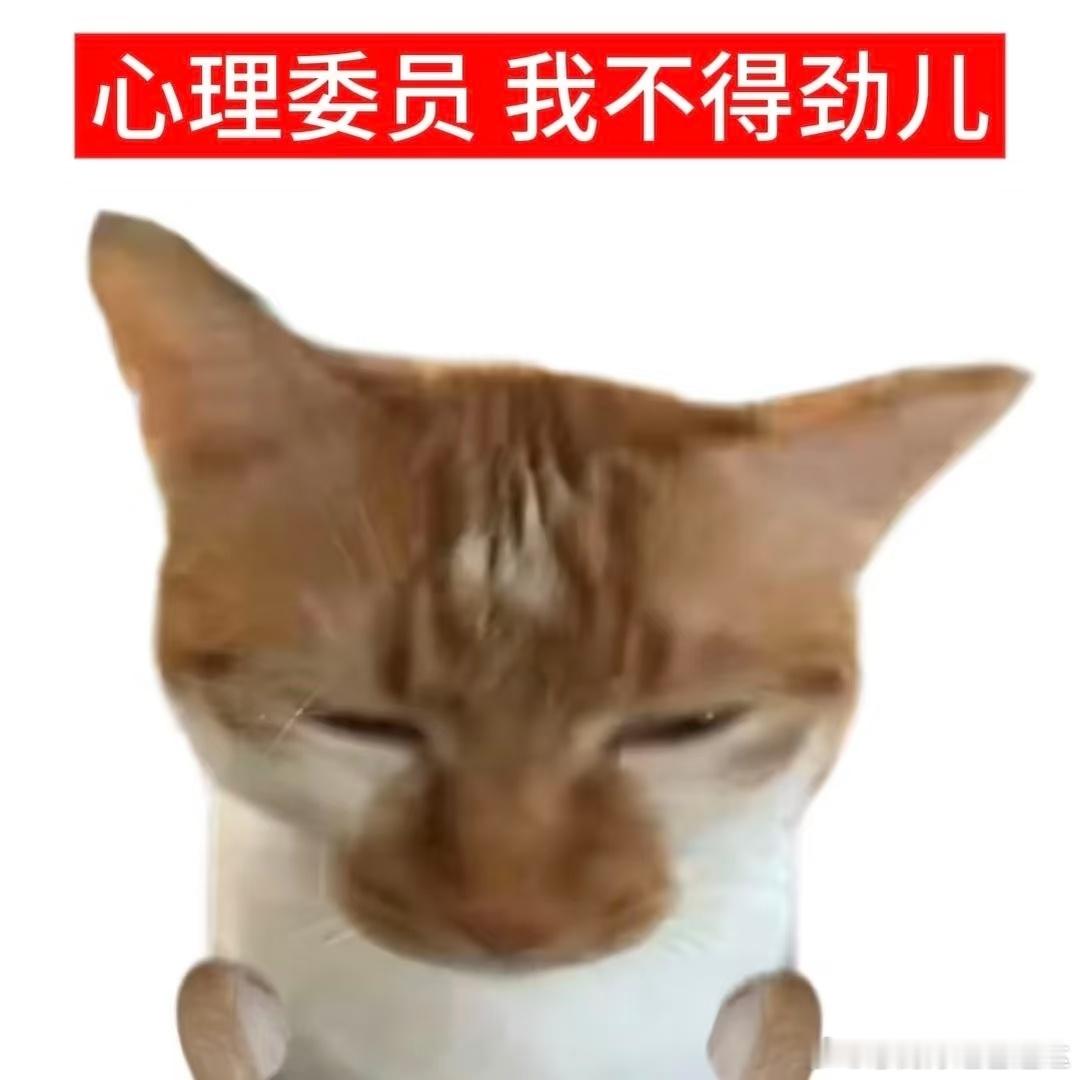 已经有很长时间没在上班摸鱼了