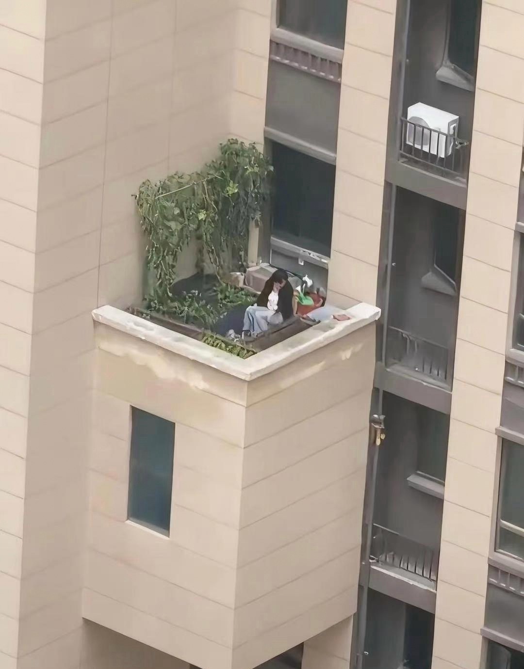 这胆子是真的大呀难道说不属于违建吗？