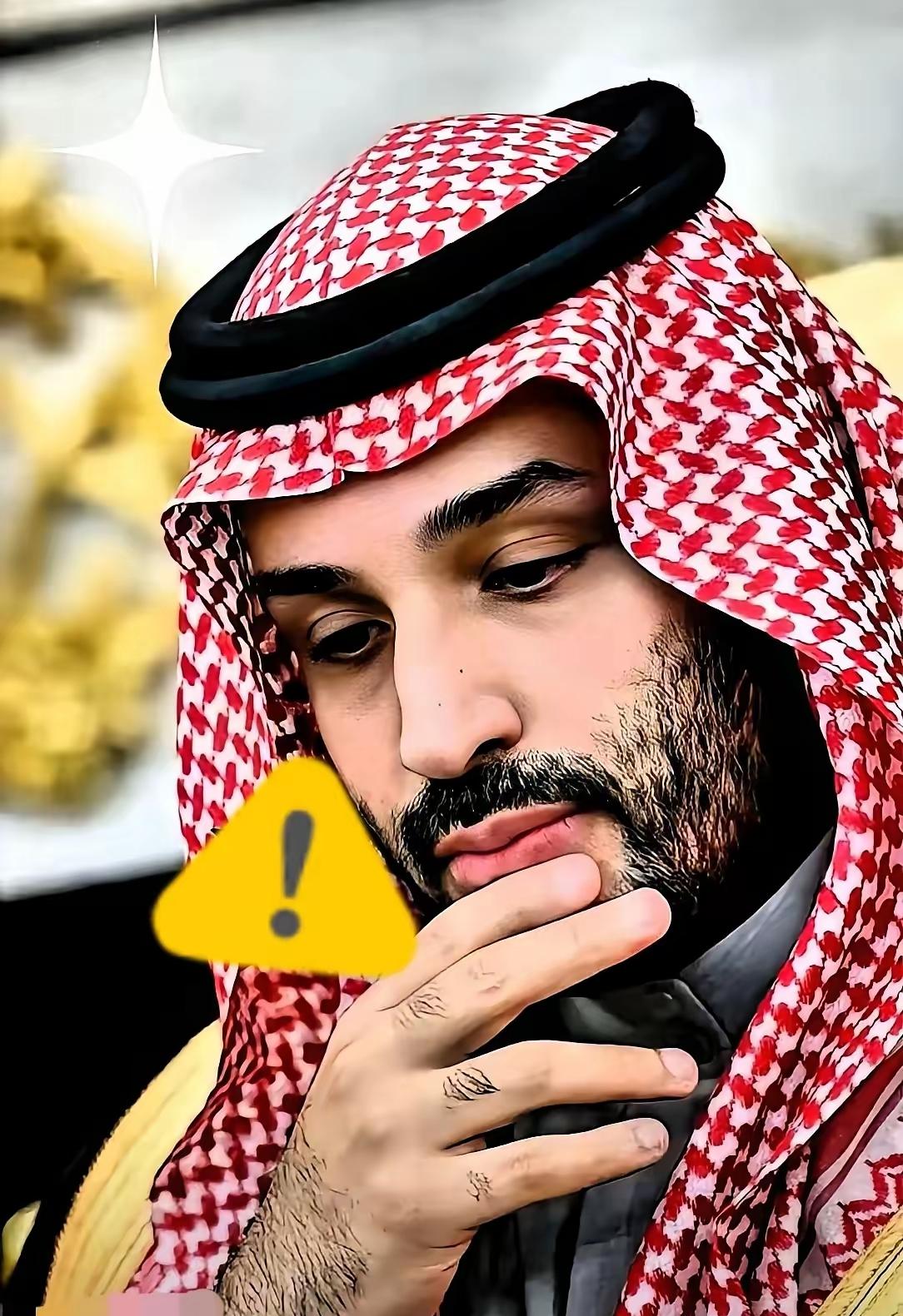 沙特这回是真把桌子给掀了。25艘超大油轮，满载5000万桶原油，完全不理会霍尔木