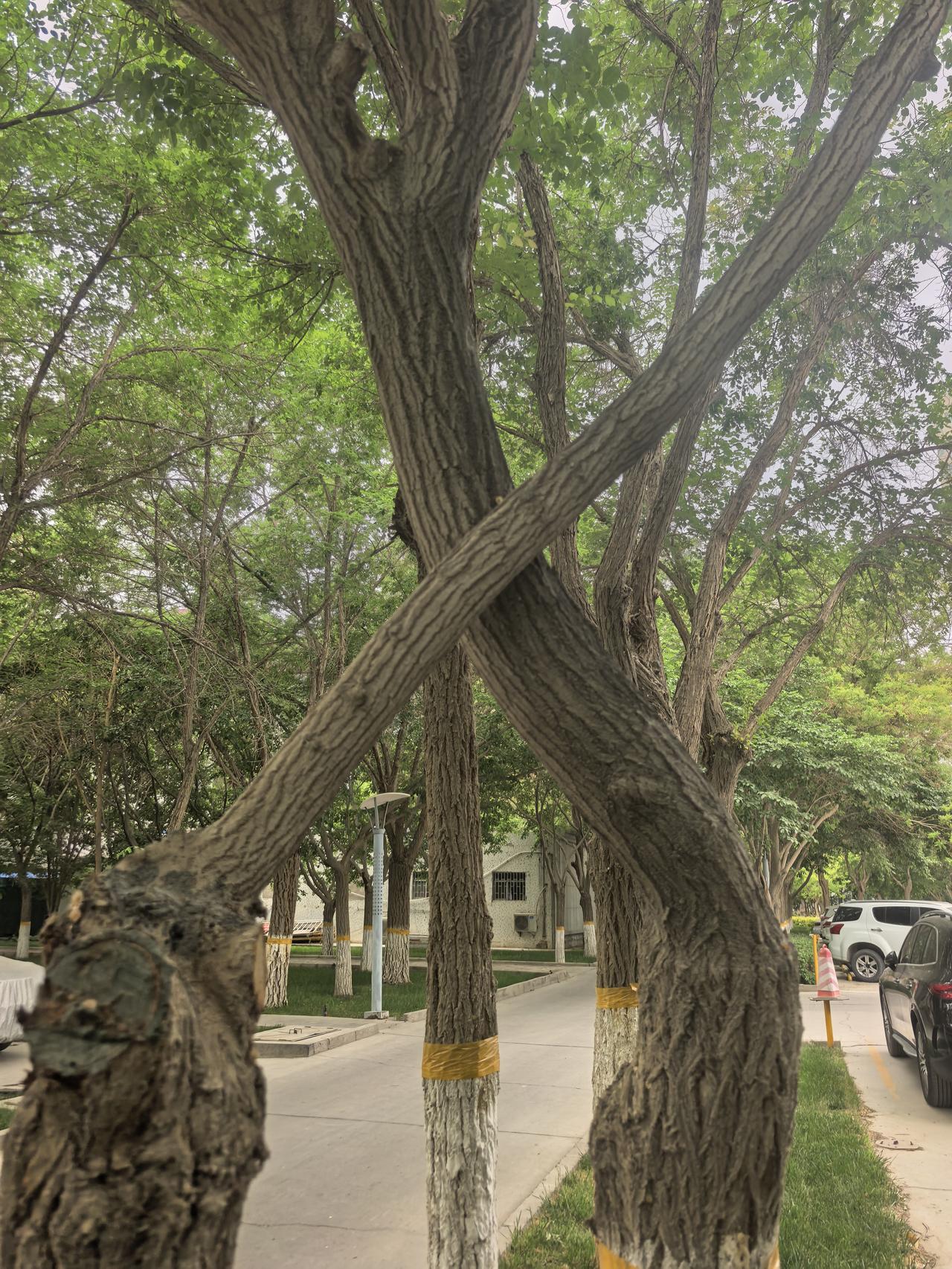 当你逐渐沉默，开始独来独往，不想辩解，不屑于讨好任何人，那么你绝不是变得内向，而