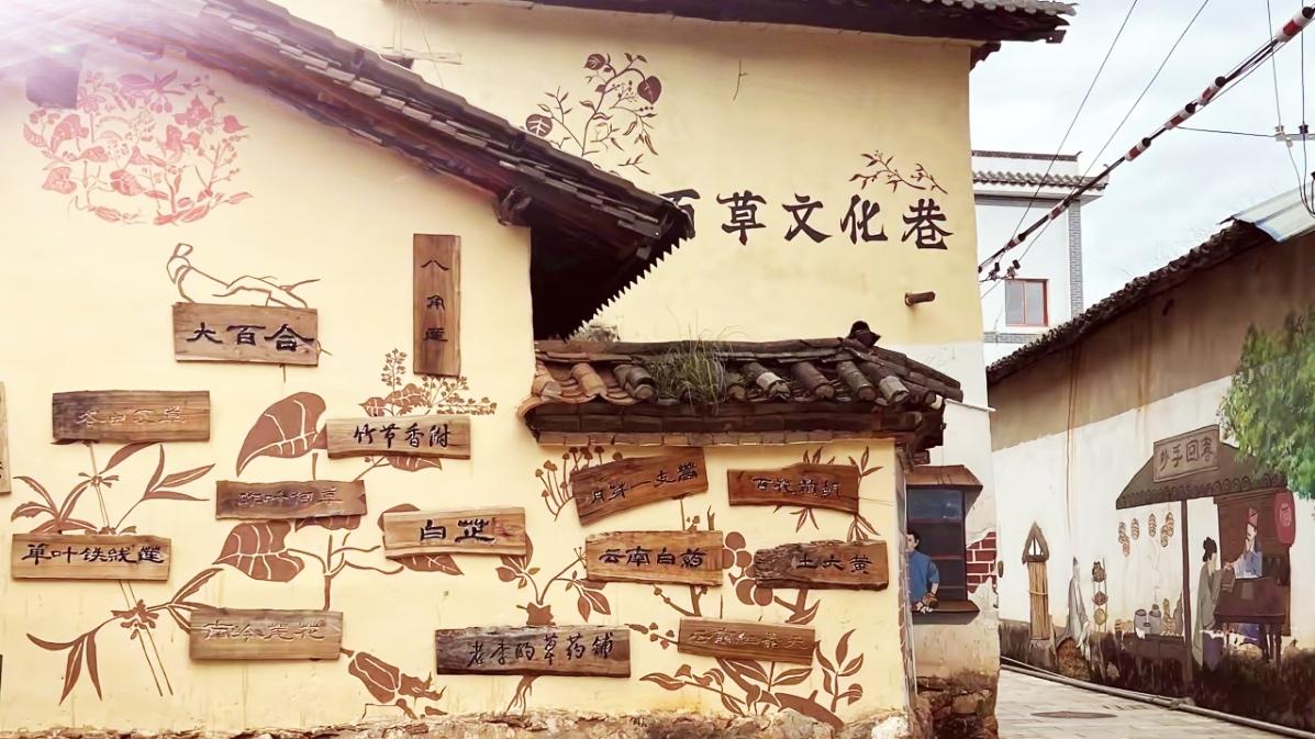 🔥昆明百草村彻底火了！新晋亲子研学顶流，150多种中草药遍布全村，逛百草巷识草