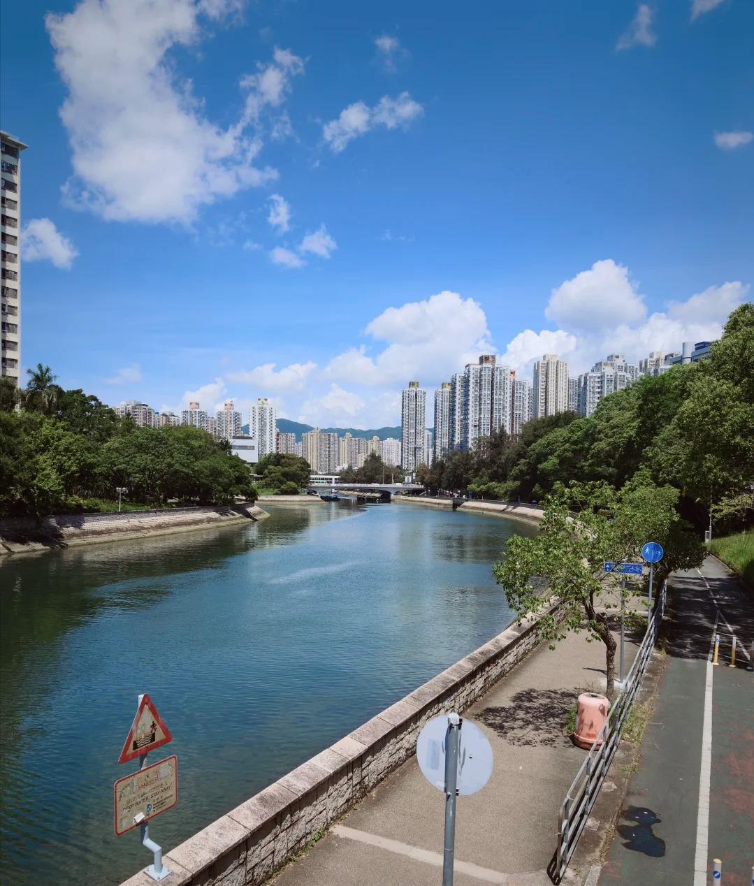 住在香港大埔的大多是什么人？当然不可能是年入千万的明星和老板们了。从楼盘周边