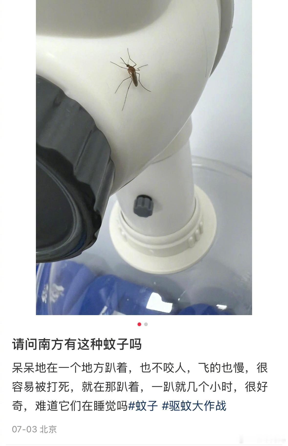 还以为是自己听力退化了，原来是蚊子进化了​​​
